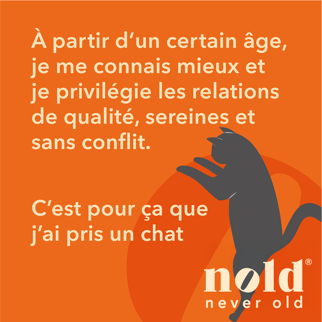 IMAGE - Post du jour